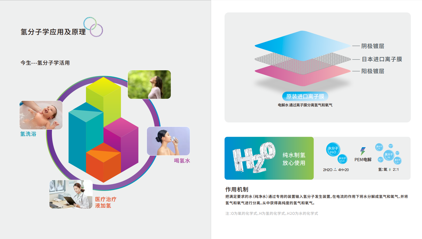 图片展示